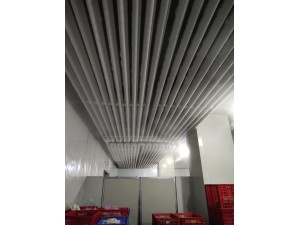 上海·嘉定500立方冷凍庫（可放100噸貨）-18度